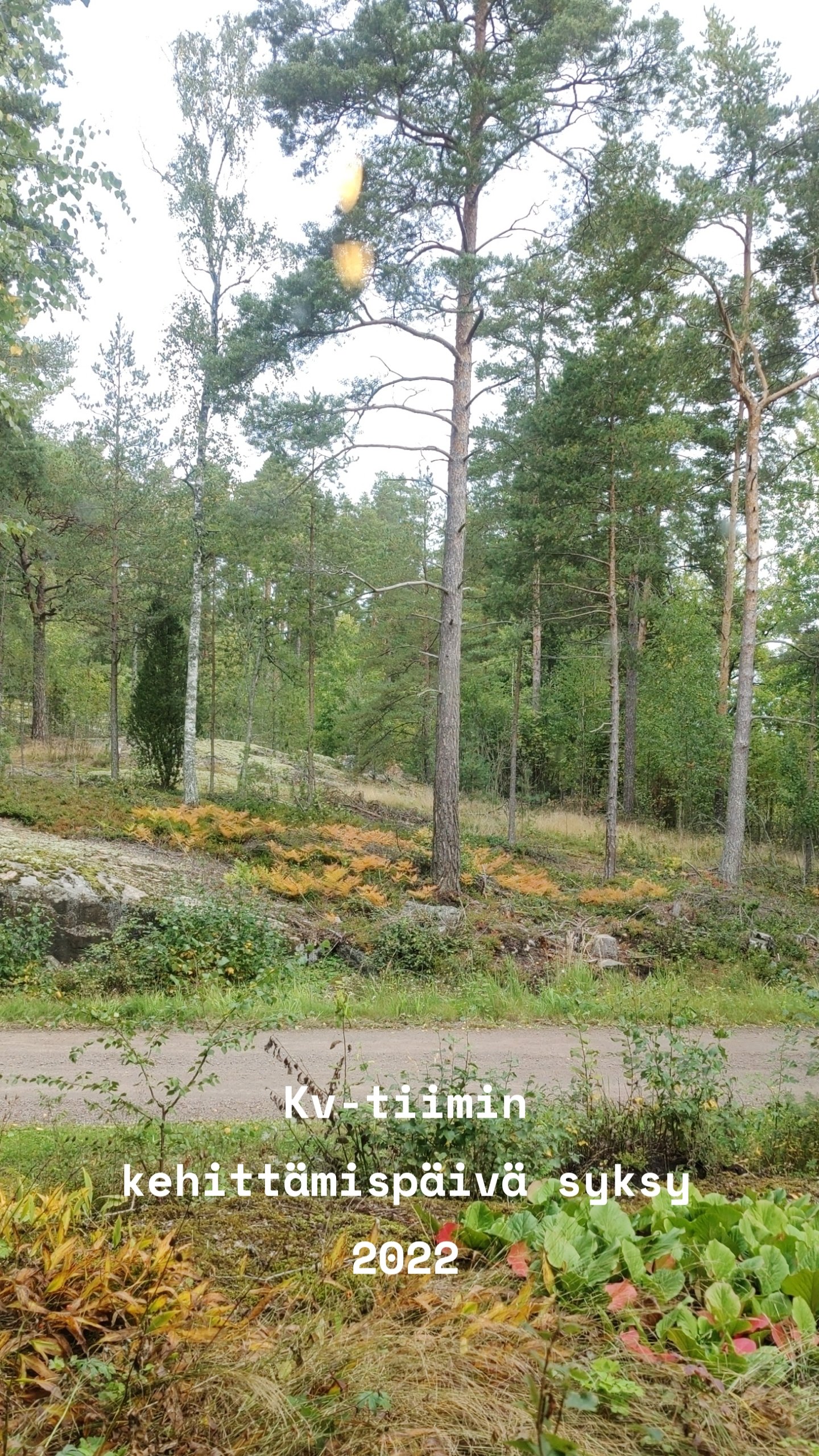 Kv-tiimin kehittämispäivä syksy 2022