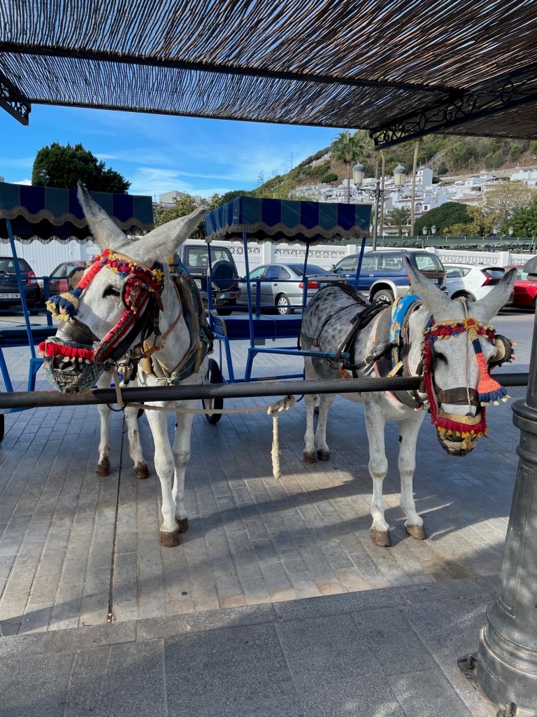 Kuva on koristeellinen