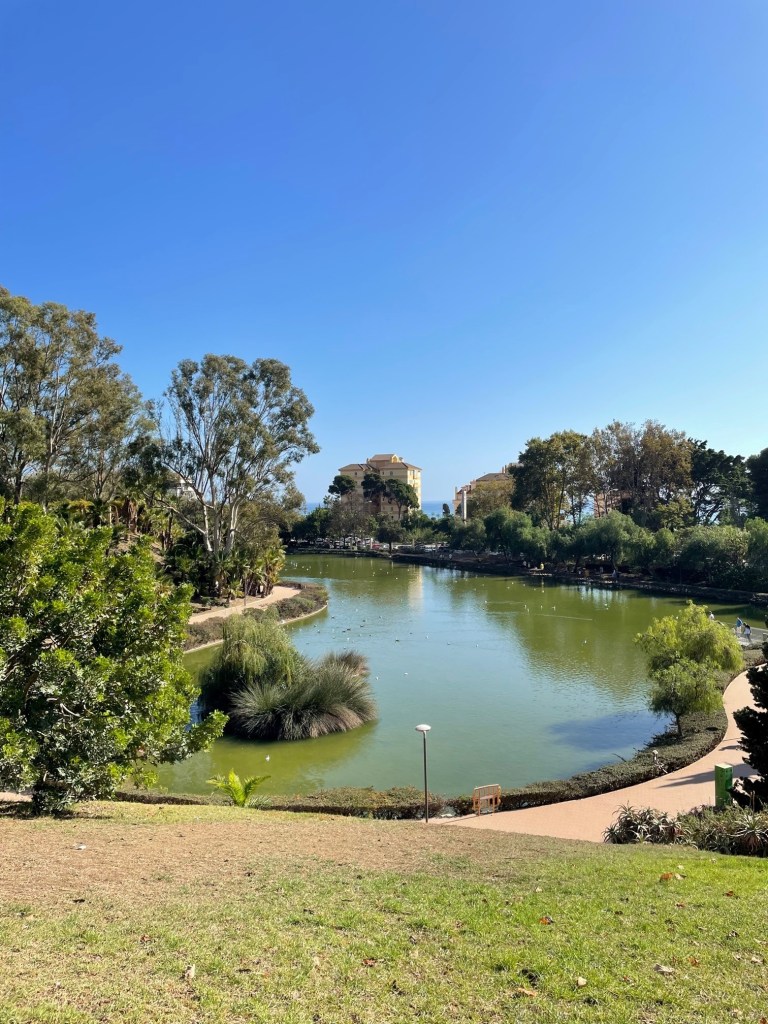 Kuva on koristeellinen