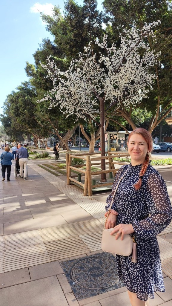 Kuva on koristeellinen