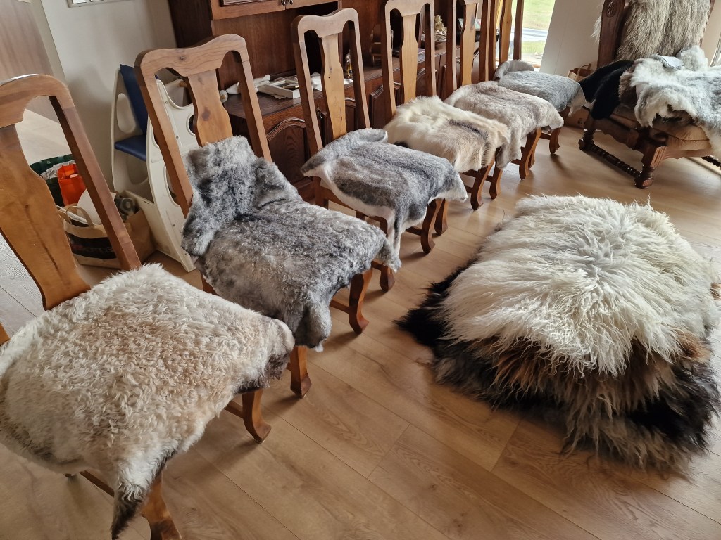 Tannes sheep and goat skins on chairs