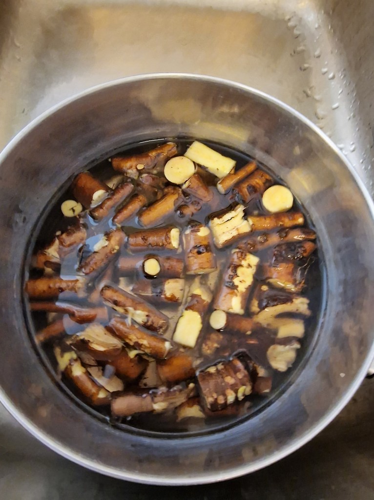 Lupin roots in a pot with ammonia