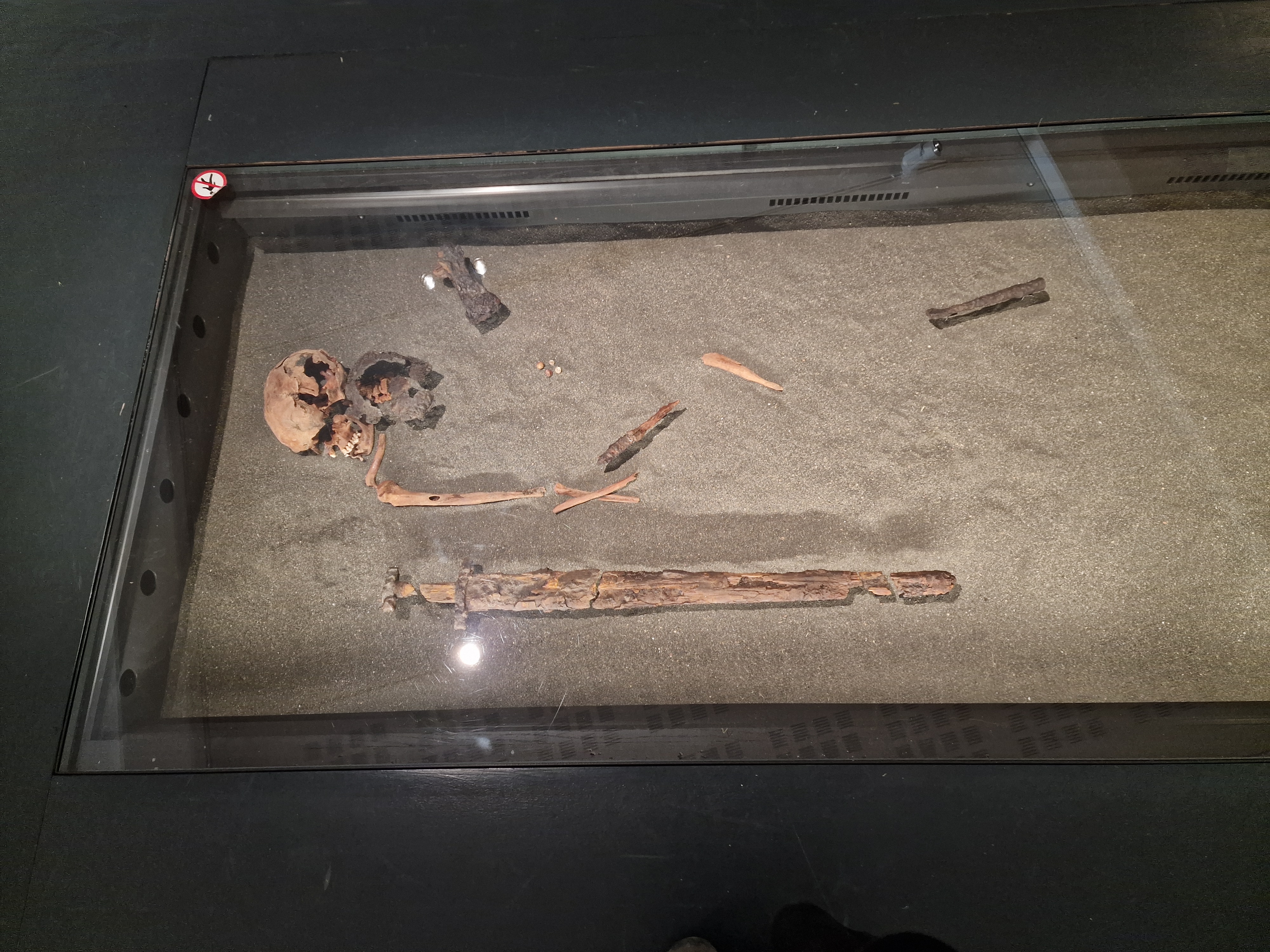 Viking age warrior grave left side