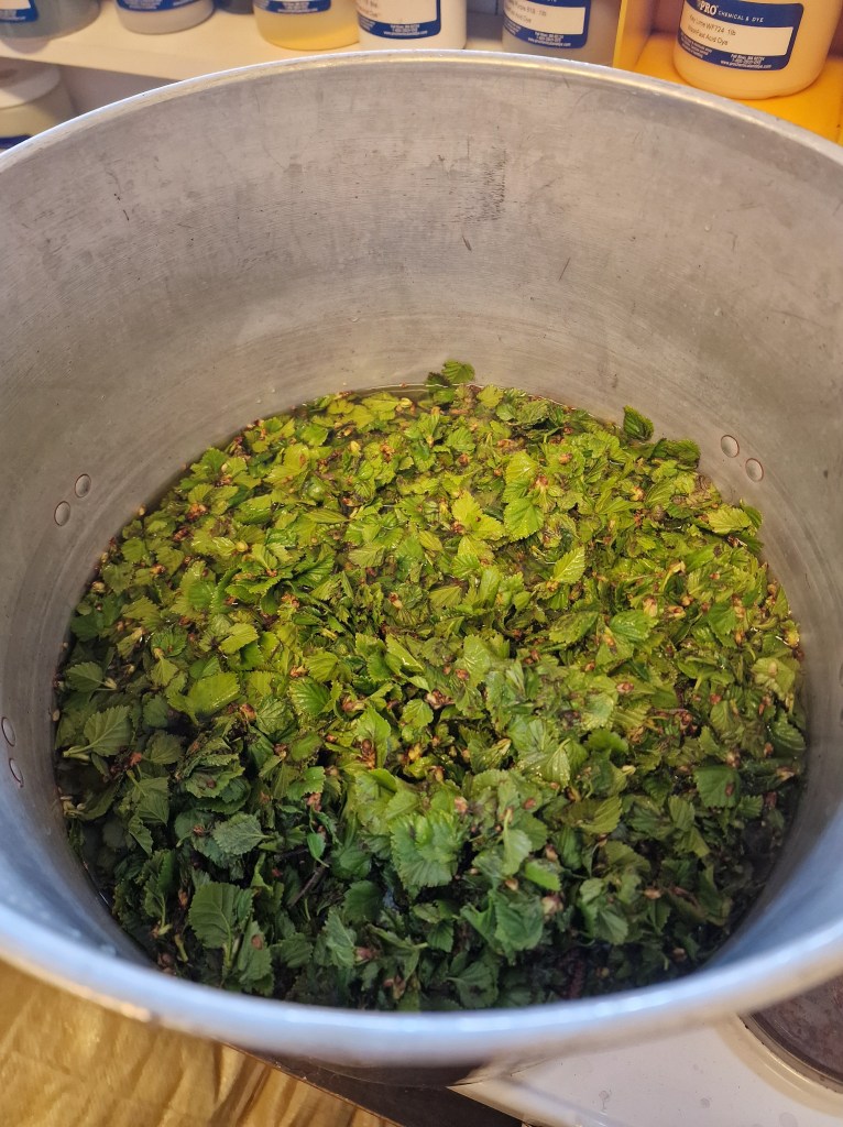 Birch leaves boiling