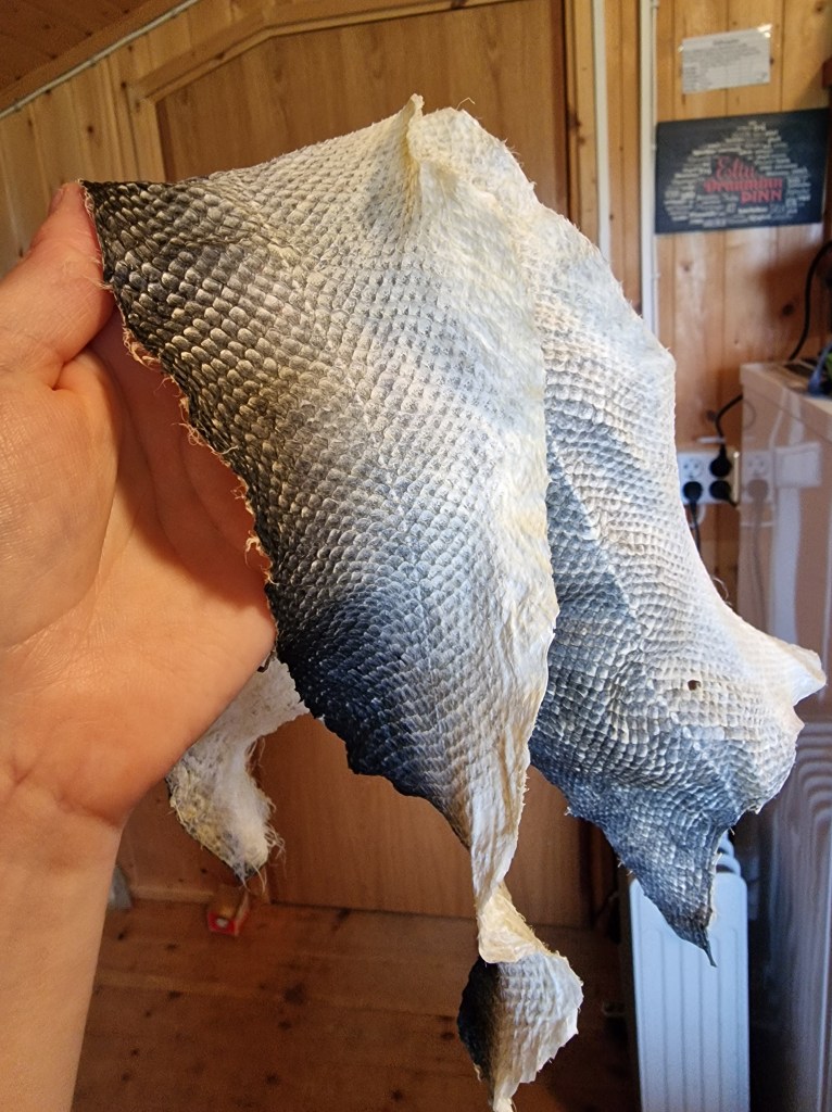 Fat tanned fish skin