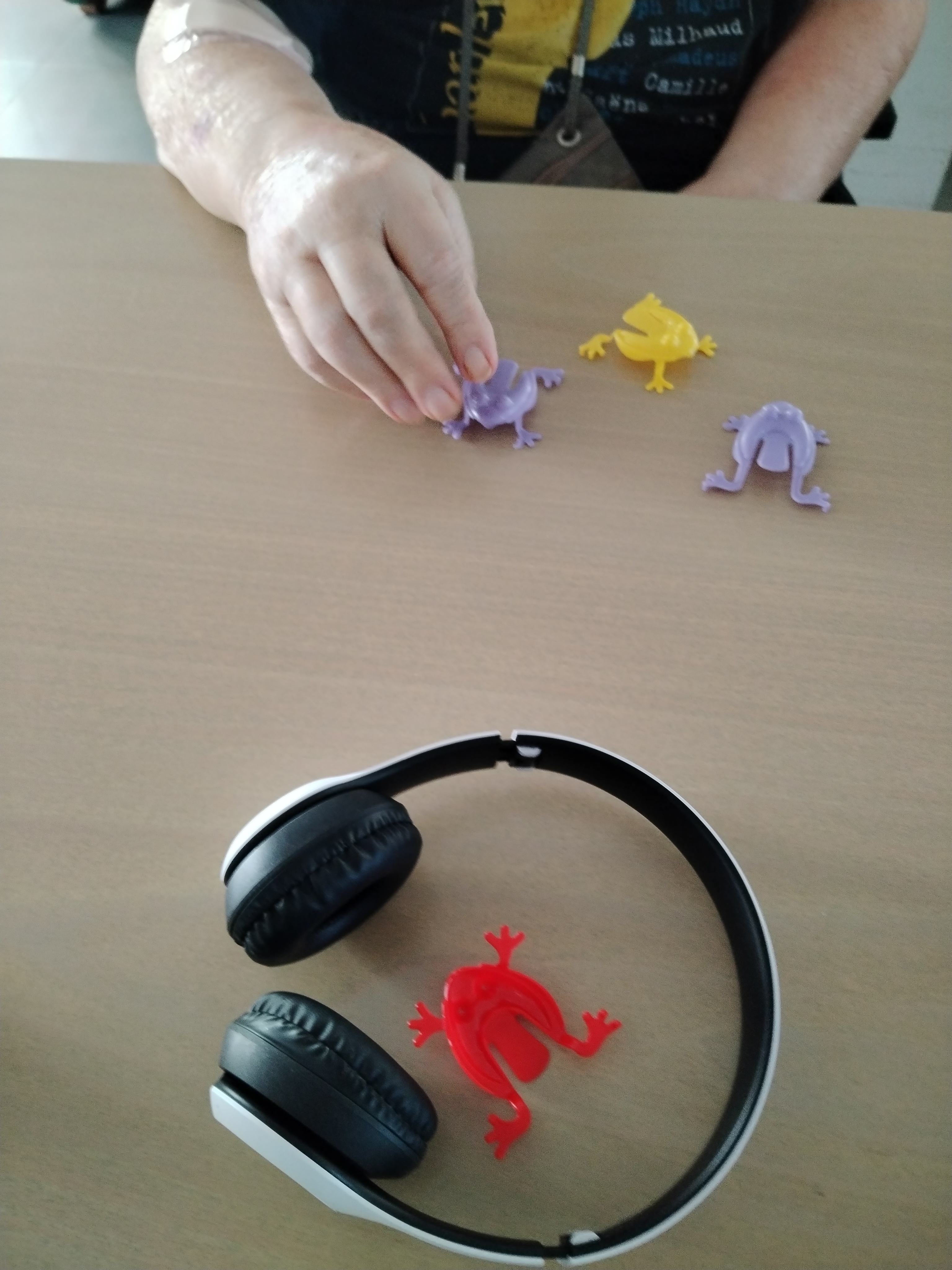 Pelataan kirppupeliä vanhusten kanssa 