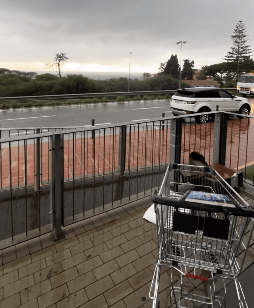 Kuva Malagan myrskystä Lidlistä päin otettuna, näkyvillä autoja ja puita.