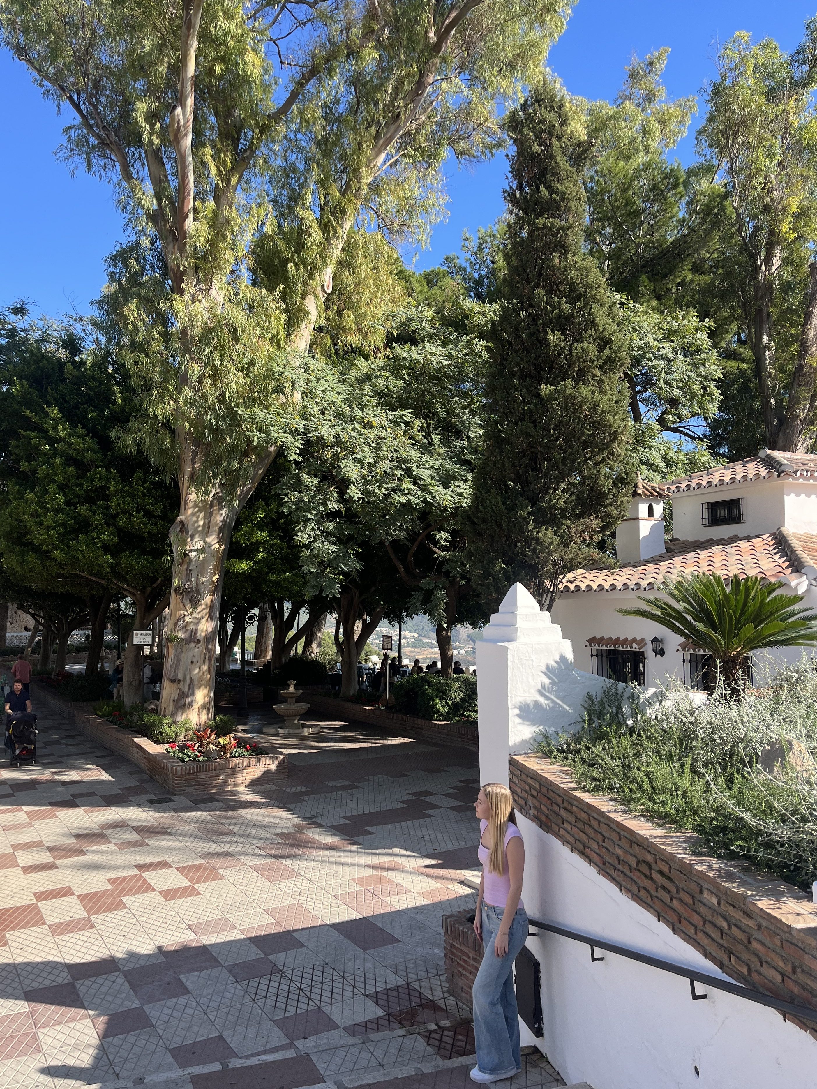 Picture of a sunny park in Mijas with lots of tall trees.