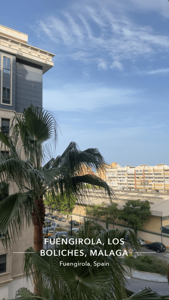 Kuva hotellihuoneen parvekkeelta. Kuvassa näkyy palmu ja taloja.