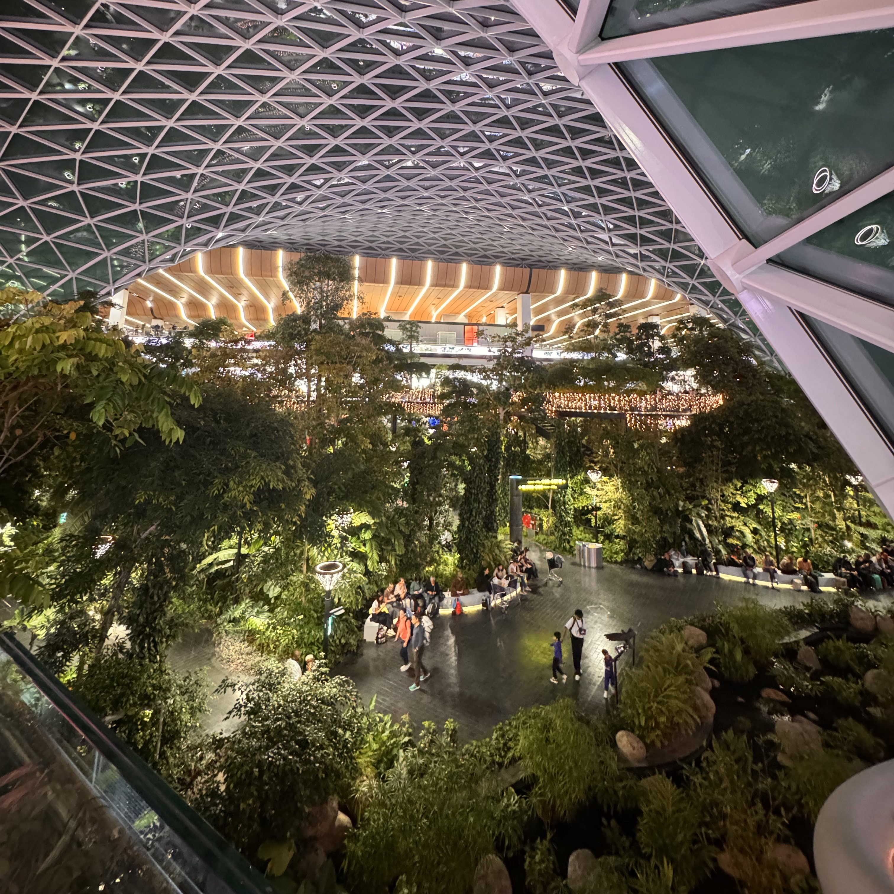 Kuva Dohan lentokentältä. Kuvassa on paljon erilaisia puita. 